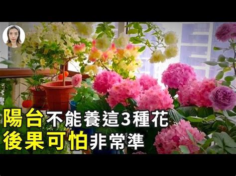 陽台種辣椒風水|【陽臺種辣椒風水好嗎】改變房子風水 